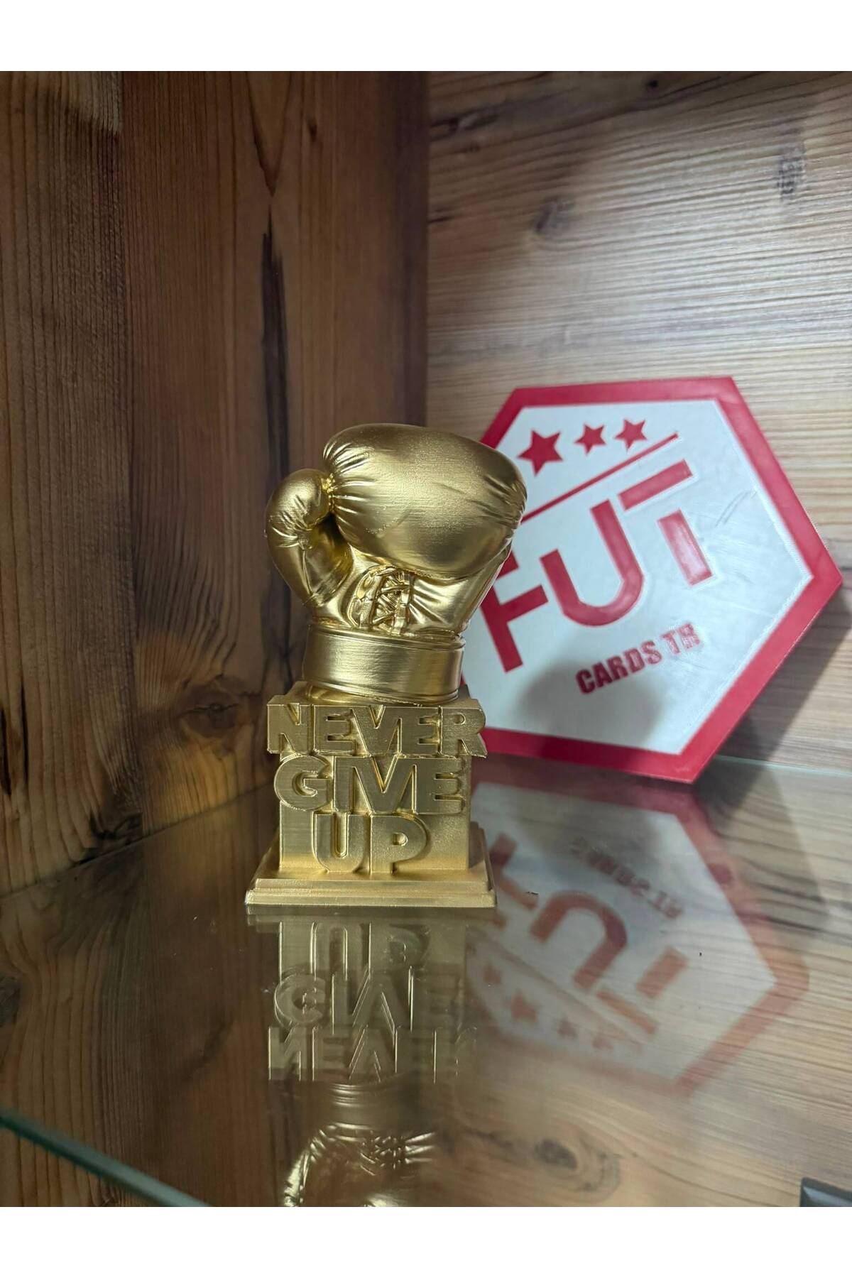 Boks Ödül Kupası Never Give Up